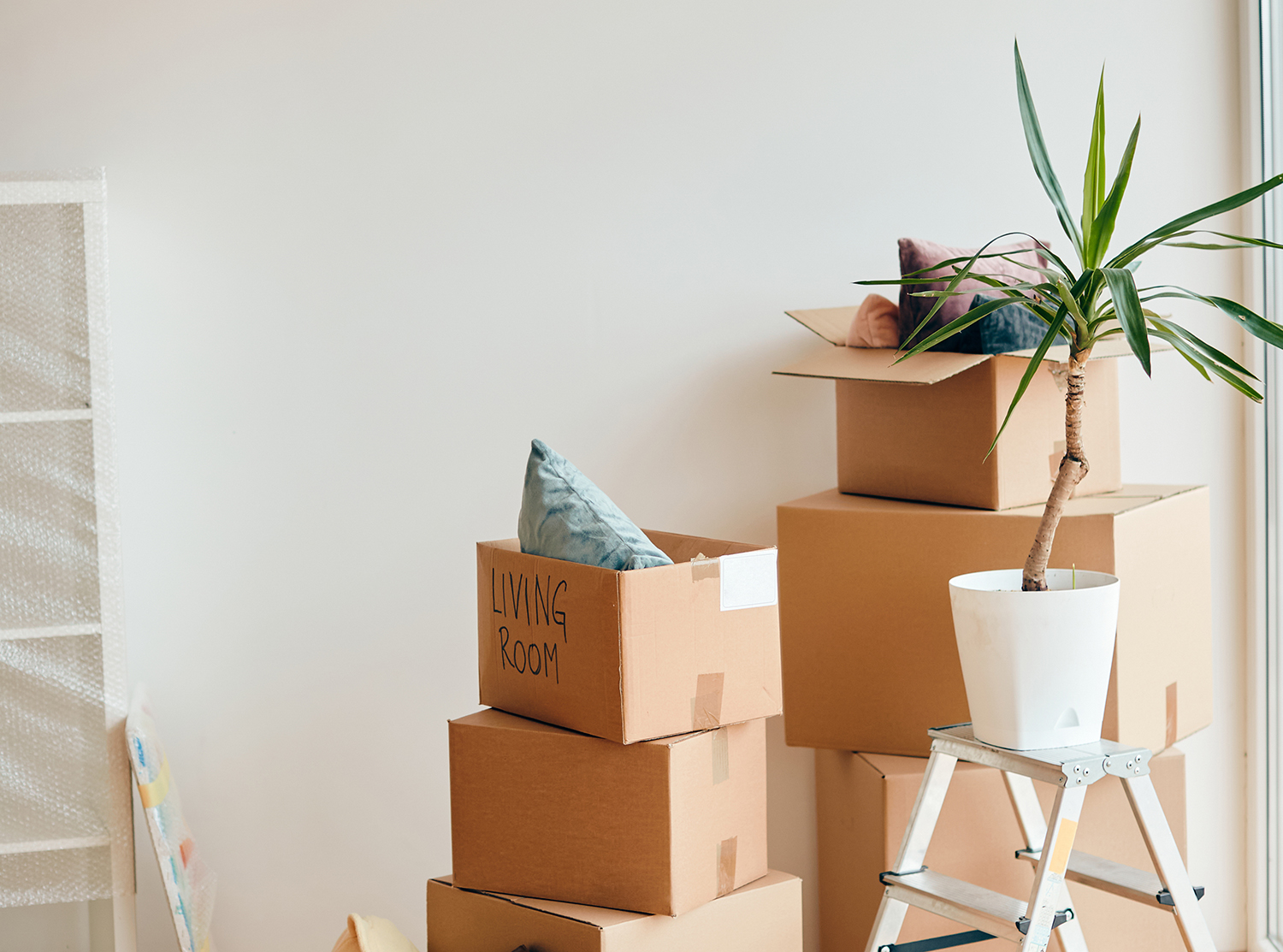 Potted plant and carton boxes with belongings in a new home.